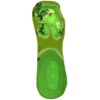Tour Golf Clash Tommy